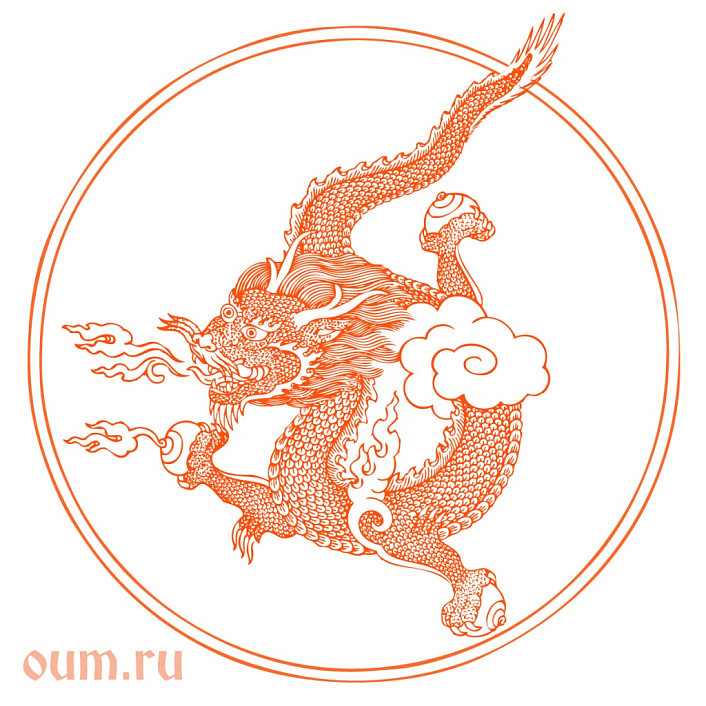 дракон рисунок фото