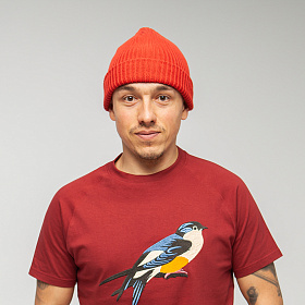 Михаил Лабахуа