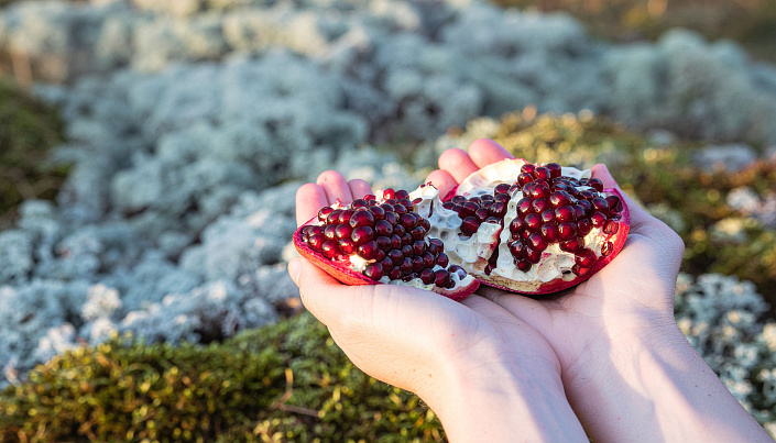 гранат в женских руках
