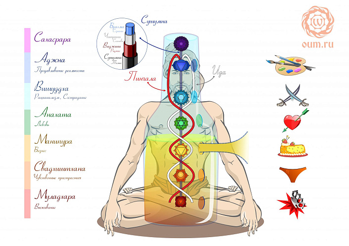 Фото 1 Строение тонкого тела