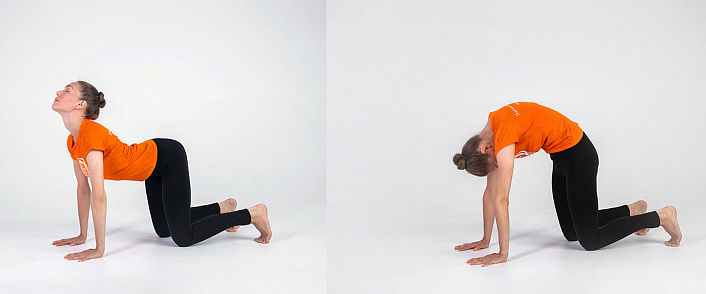 девушка выполняет марджариасану