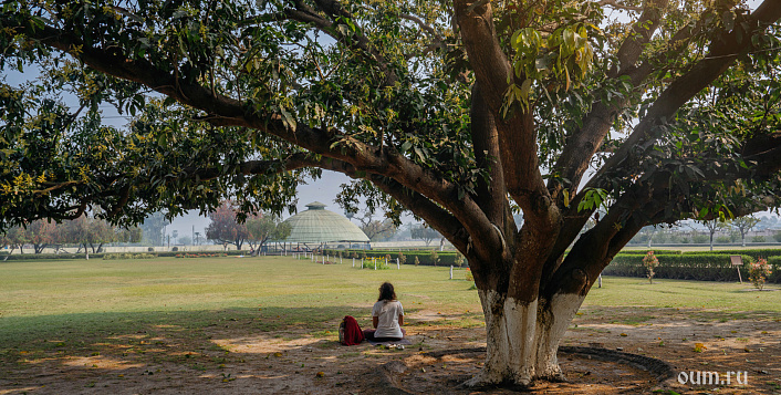 Джатака о дереве Паласа