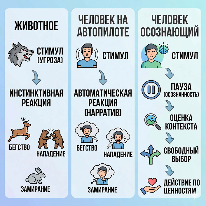 Инфографика эволюции реакций на стресс, показывающая переход от слепых инстинктов к осознанному выбору действий человека.