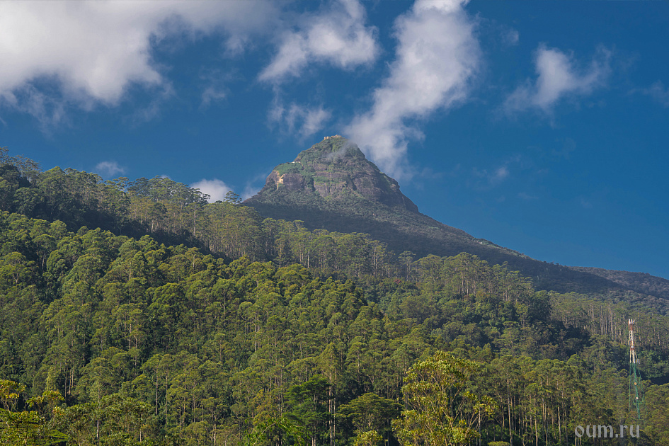Гора Шри Пада (Священный след) фото