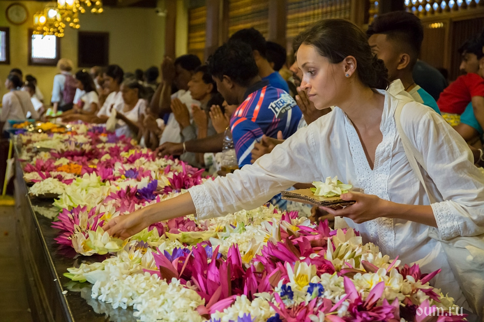 Подношения для великой буддийской святыни фото