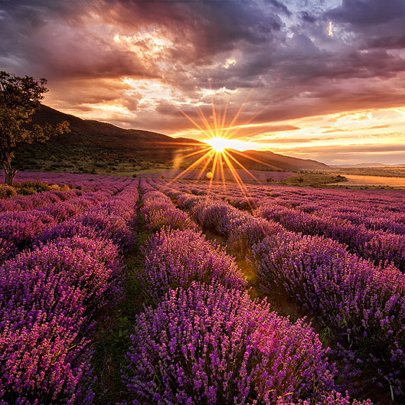 Спокойная музыка. Часть 3