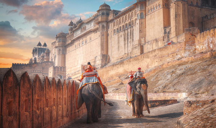 два слона, индия