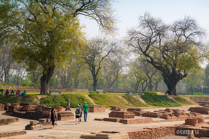 Олений Парк фото