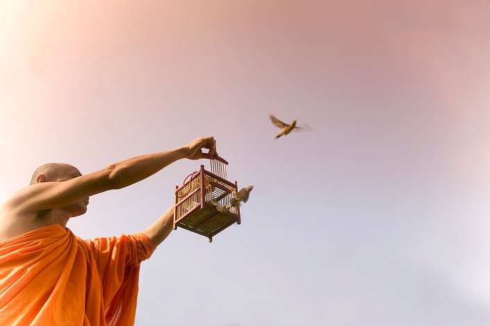 монах выпускает птиц из клетки