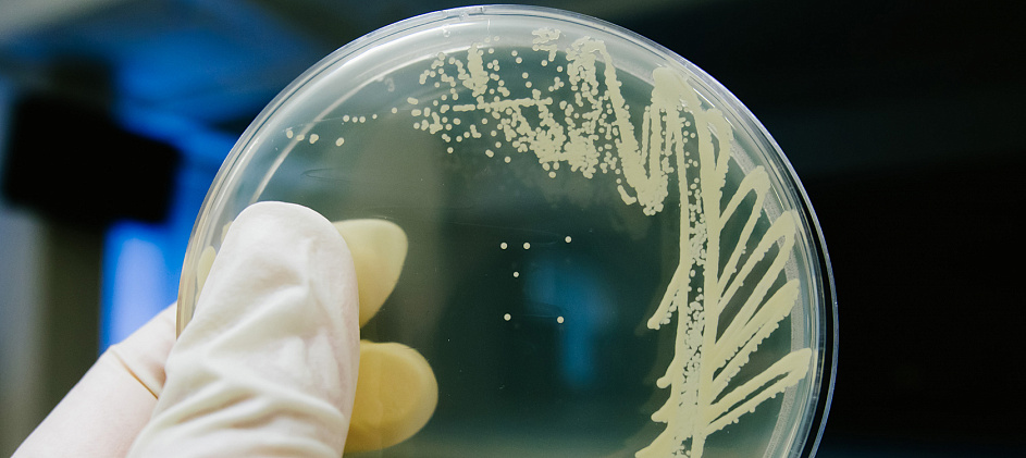 Микроорганизмы могут спасти мир от пластиковой катастрофы