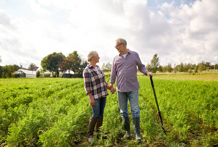 пара в возрасте на огороде