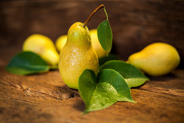 сочные груши фото