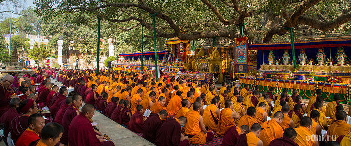 много буддийских монахов у дерева бодхи