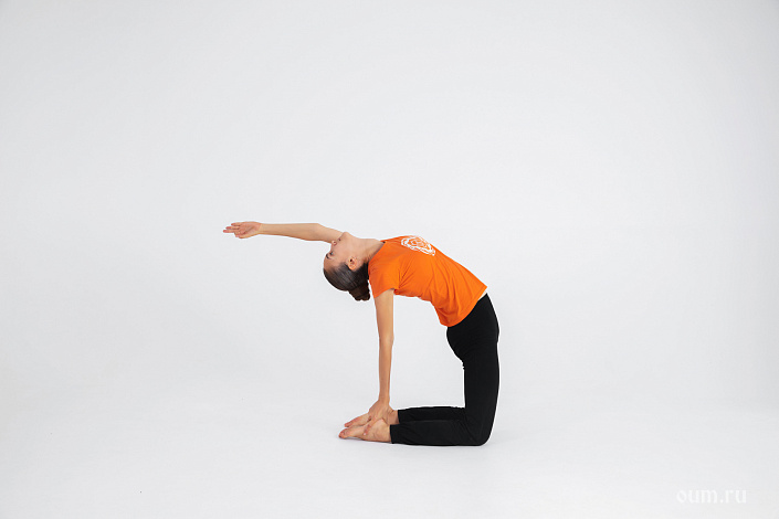 Ардха Уштрасана