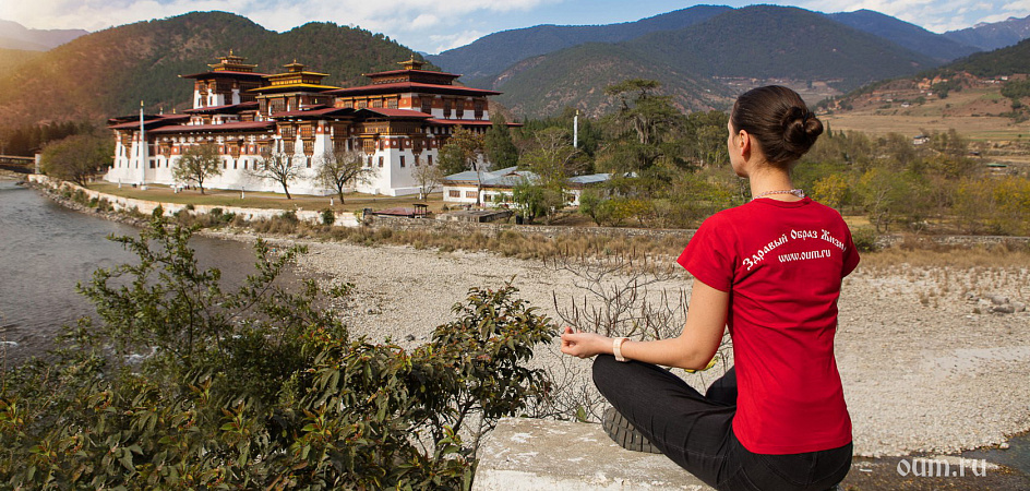 Пунака - Министерство Счастья