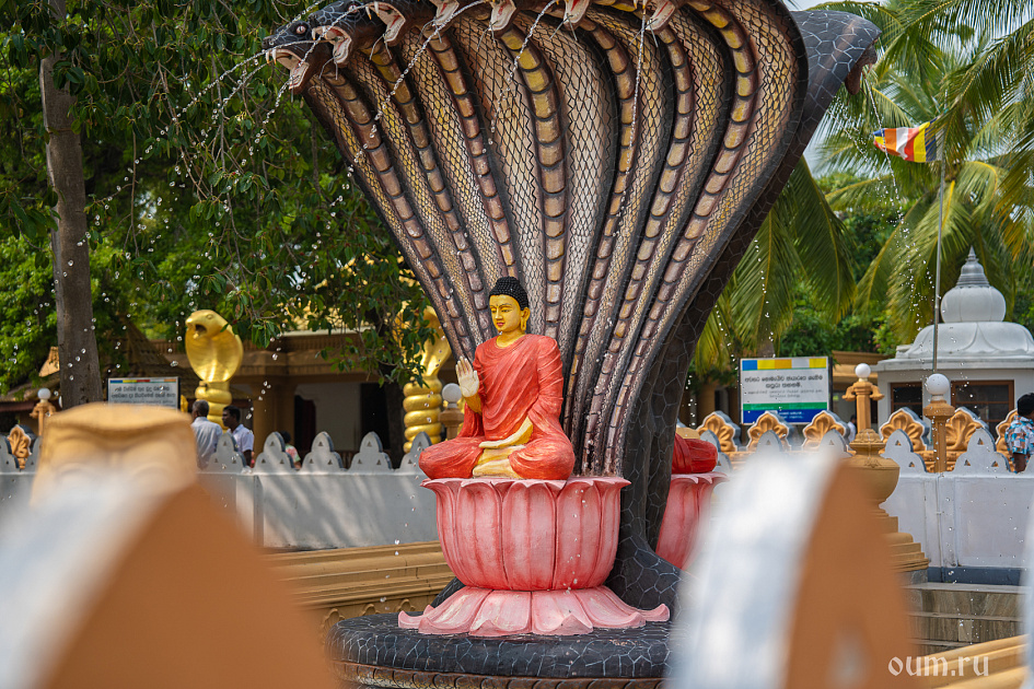 Остров нагов Нагадипа фото