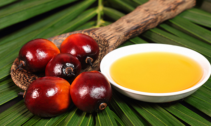 Вред и польза пальмового масла для взрослых thumbnail