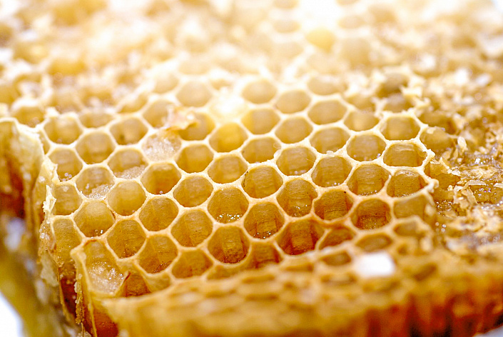 Состав и лечебные свойства медового пчелиного воска