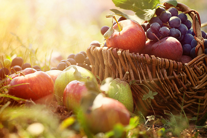 Польза фруктов и ягод, пословицы и поговорки о еде