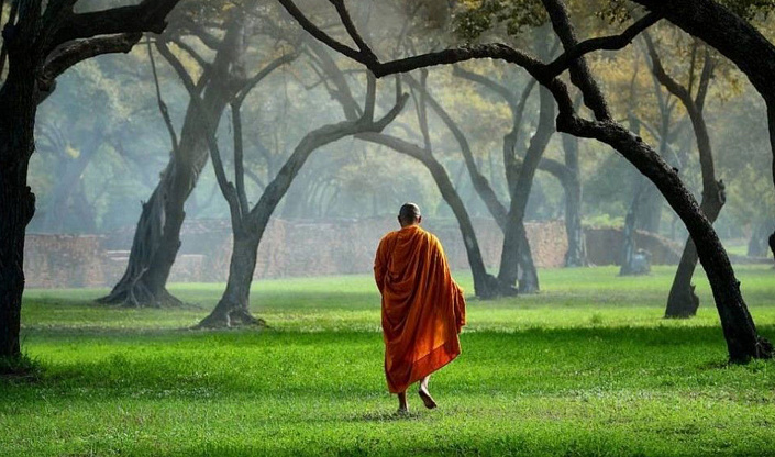 Walking meditation, monk in nature